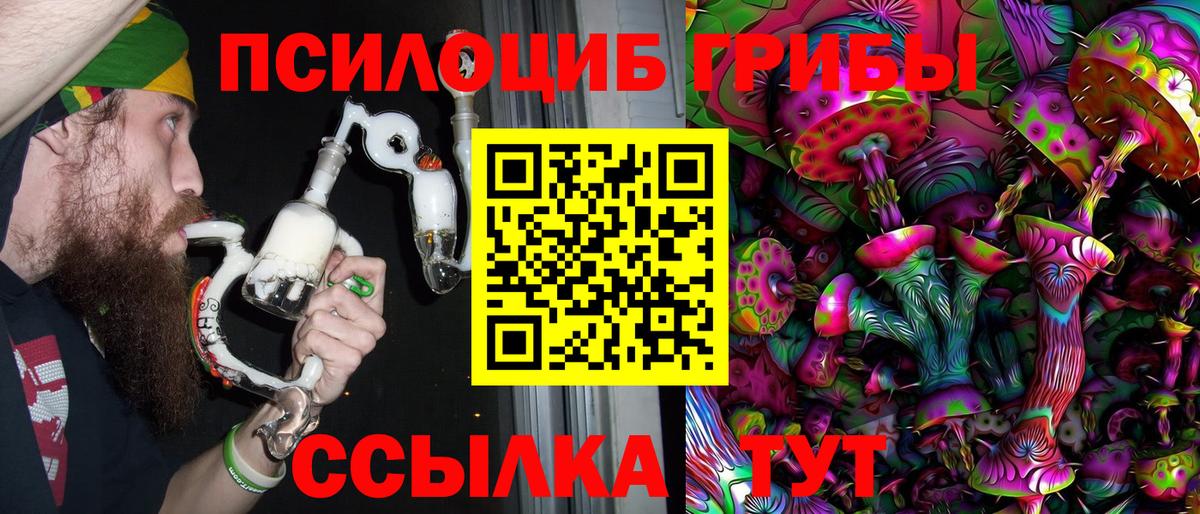 Псилоцибиновые грибы Cubensis  Вход с VPN  Тулун 